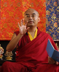 Mingyur Rinpoche in front of brocade