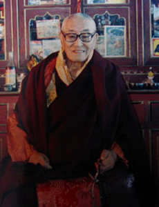 Saljey Rinpoche