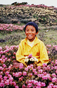 A Young Mingyur Rinpoche