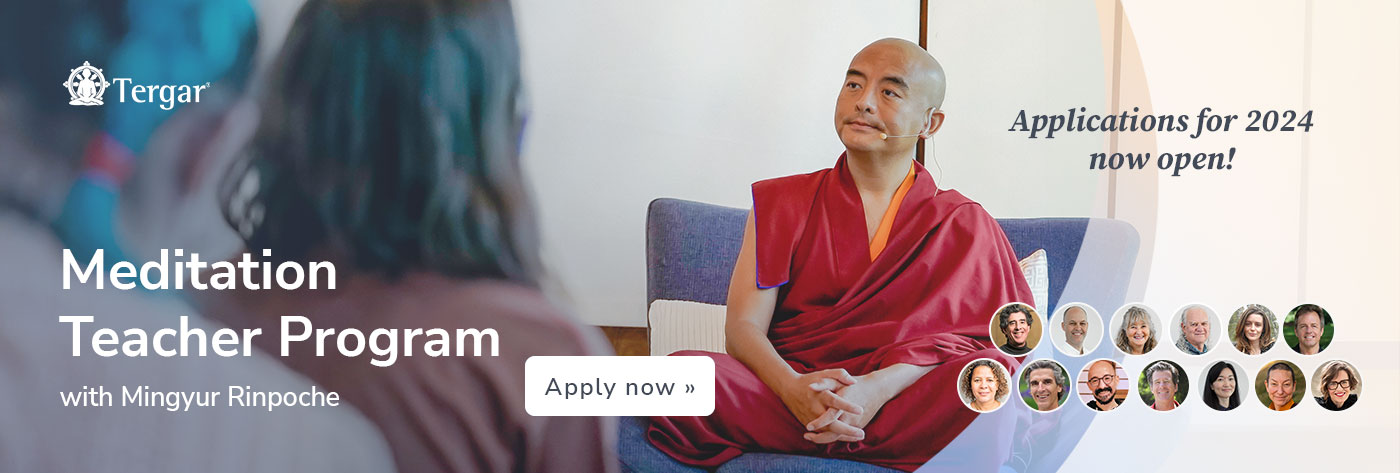 Meditation Teacher Program by Mingyur Rinpoche