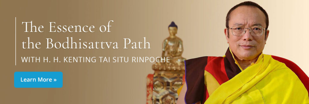 bodhisattva-path-tergarorg