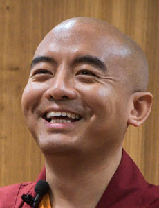 Mingyur-Rinpoche-JOL-Rio-230X300