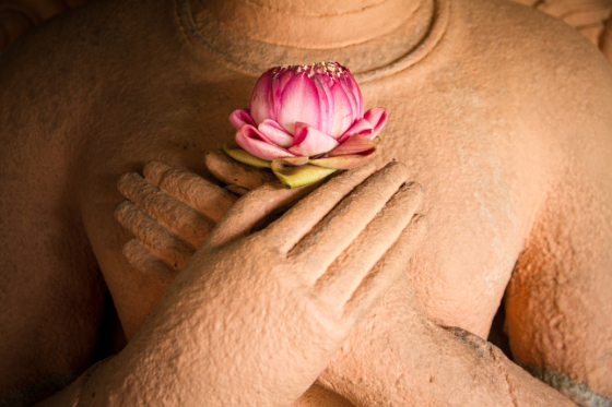 Lotus,In,The,Hands,Of,Sandstone,Buddha.